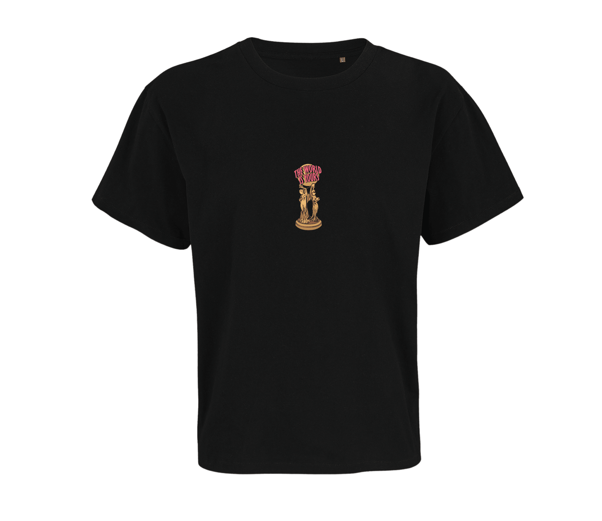 The world is yours - Framed - camiseta de cine